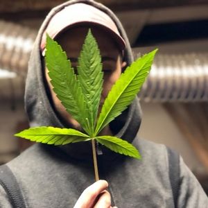 Meet your Posher, Mikey